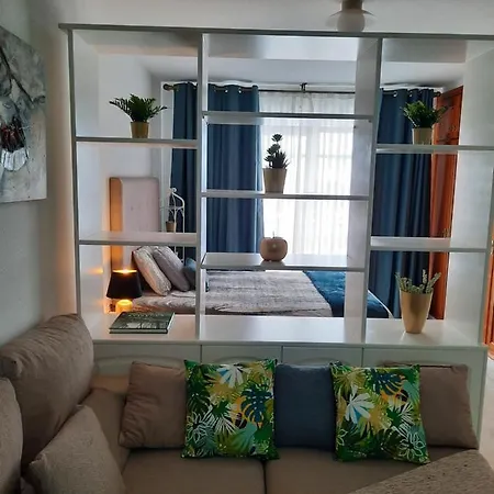 Edward'S House Tenerife -Small Flat In Adeje Town. أذيخي
